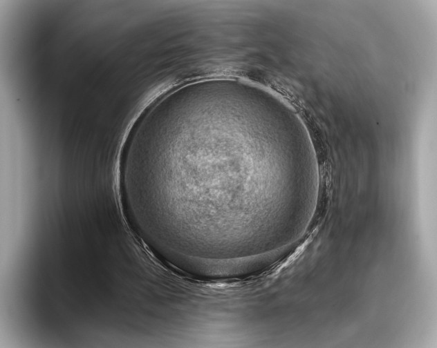 X0000093740148200710161145