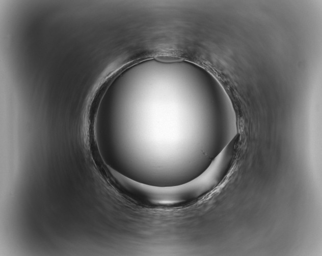 X0000093740150200710161145