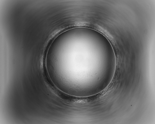 X0000093740155200710161145