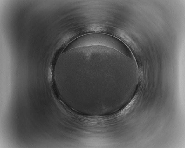 X0000093740158200710161145