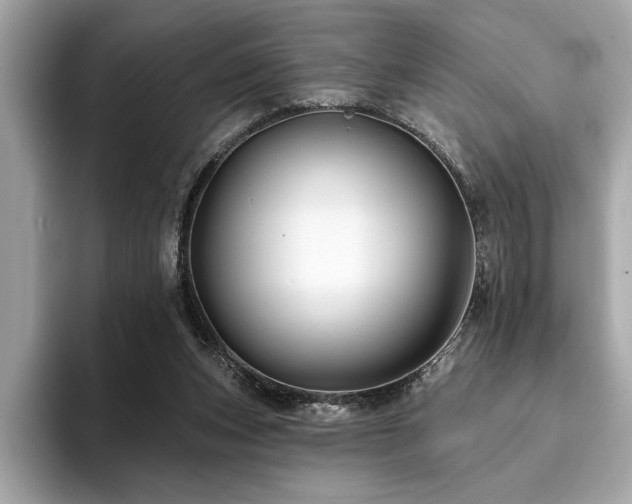 X0000093740159200710161145