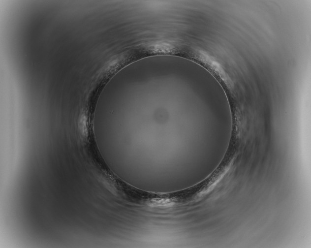 X0000093740161200710161145
