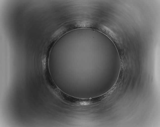 X0000093740163200710161145
