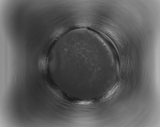 X0000093740168200710161145