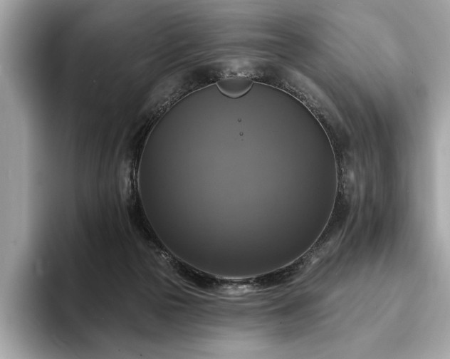 X0000093740169200710161145