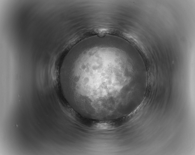X0000093740171200710161145