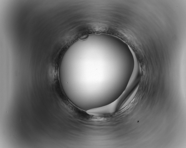 X0000093740176200710161146