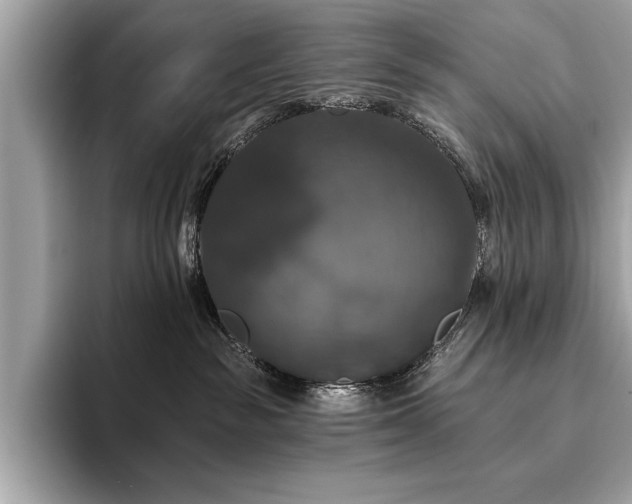 X0000093740189200710161146