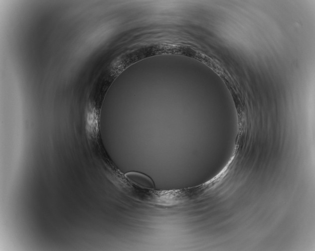 X0000093740191200710161146