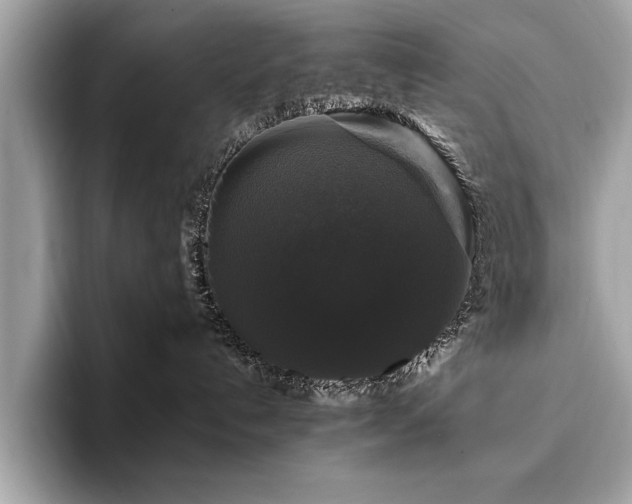 X0000093740192200710161146