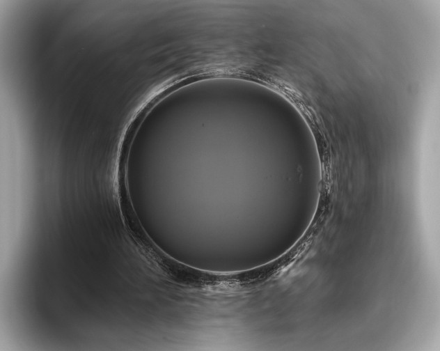 X0000093740196200710161145