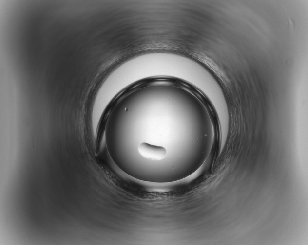 X0000093740207200710161145