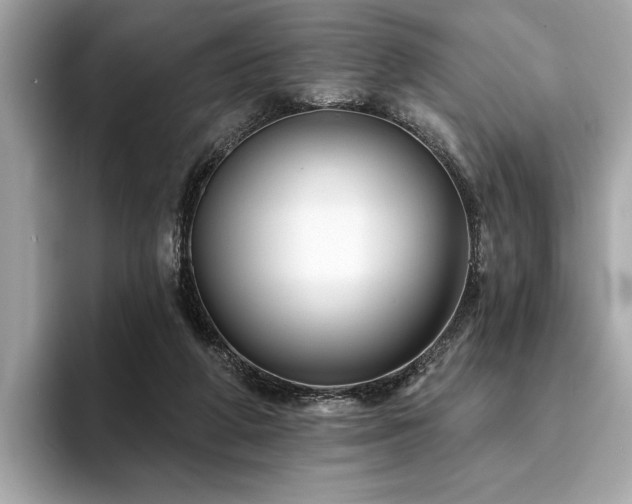 X0000093740210200710161145