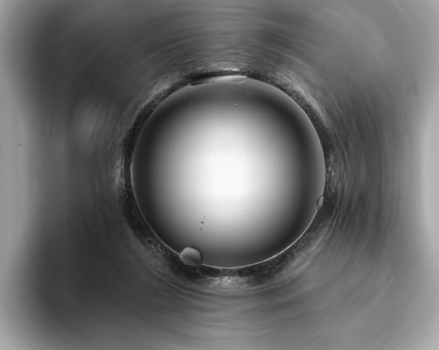 X0000093740212200710161145