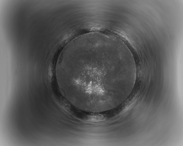 X0000093740215200710161145