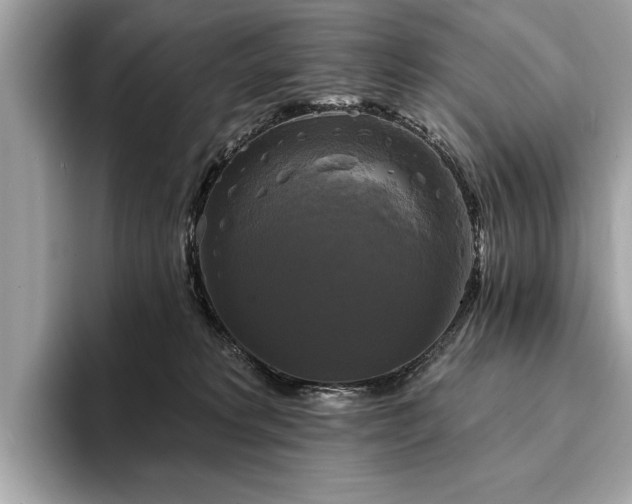 X0000093740229200710161145