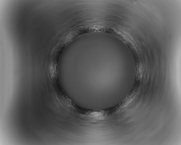 X0000093740236200710161145