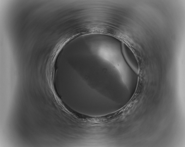X0000093740241200710161144