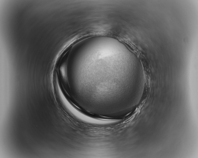 X0000093740244200710161144