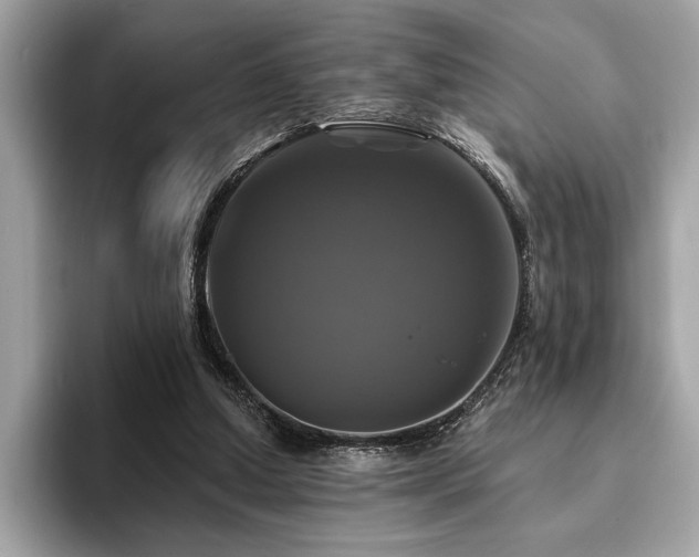 X0000093740250200710161144