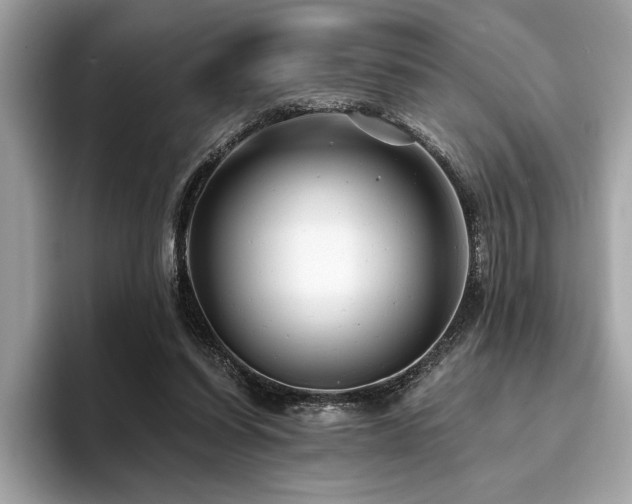 X0000093740254200710161144