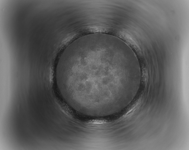 X0000093740255200710161144