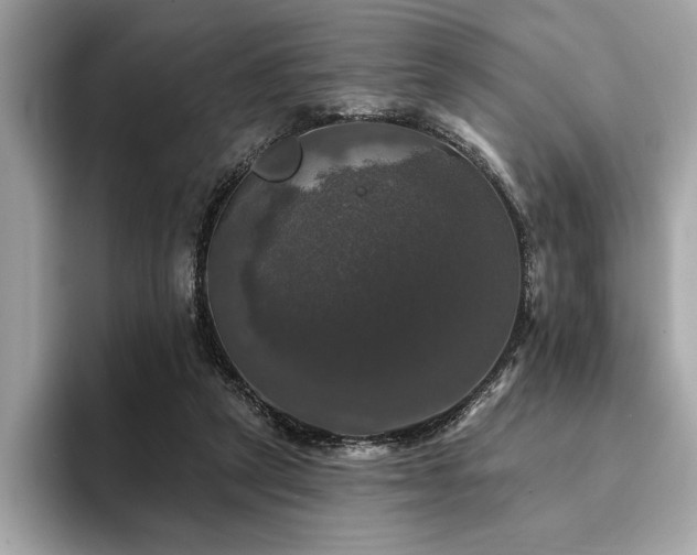 X0000093740257200710161144