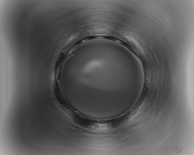 X0000093740260200710161144