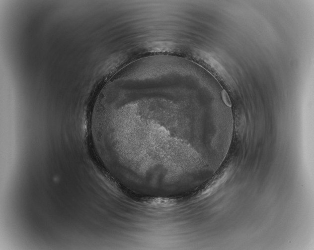 X0000093740261200710161144