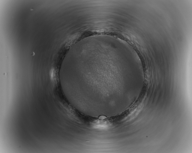 X0000093740272200710161144