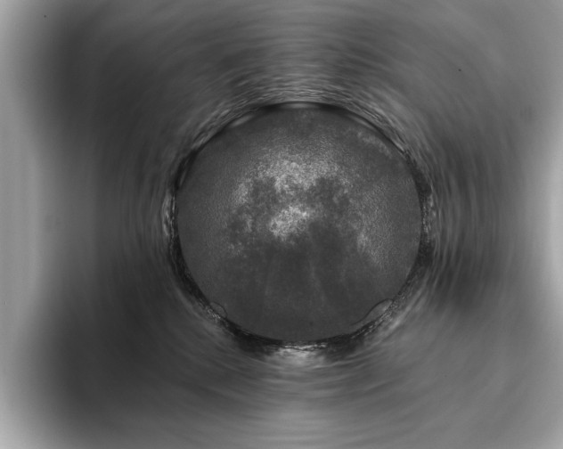 X0000093740280200710161145