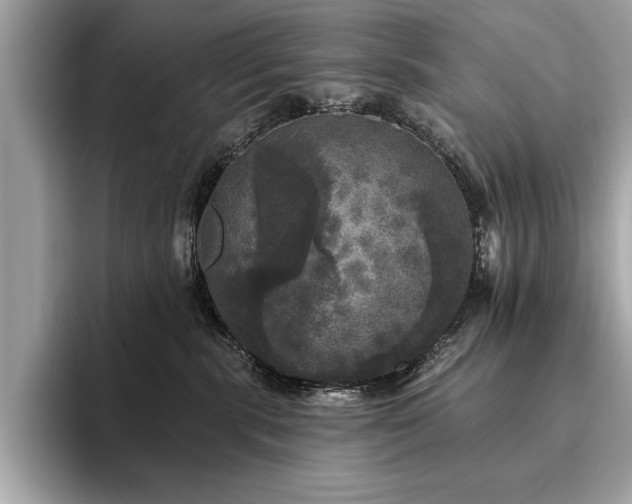 X0000093740283200710161145