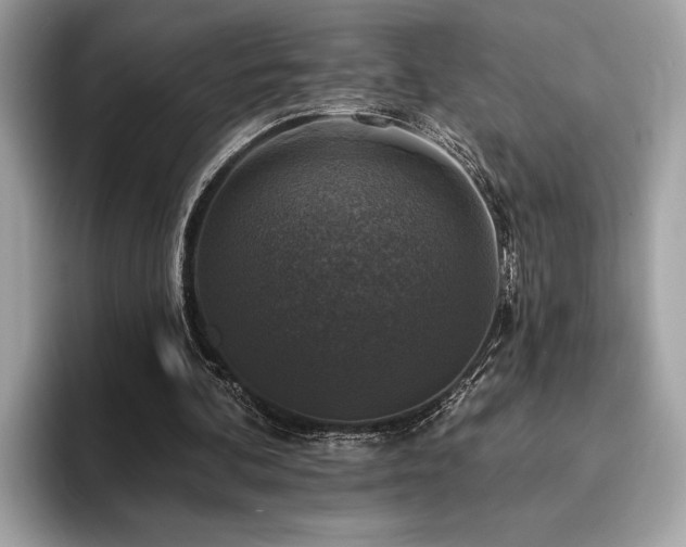 X0000093740292200710161144