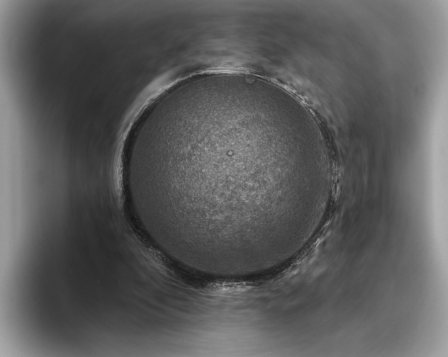 X0000093740296200710161144