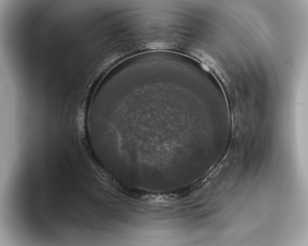 X0000093740297200710161144