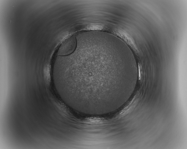 X0000093740300200710161144