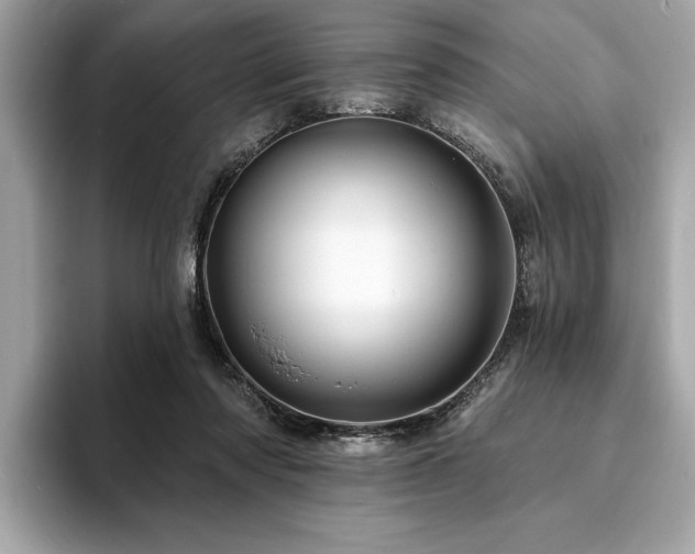 X0000093740310200710161144