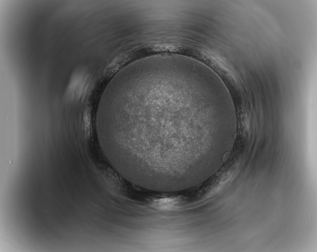 X0000093740312200710161144