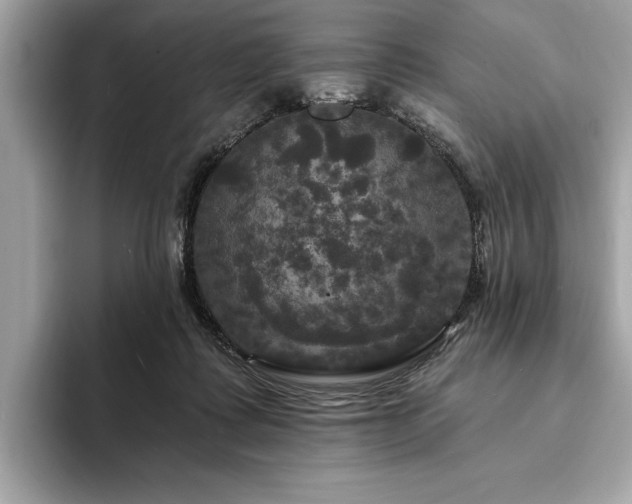 X0000093740315200710161144