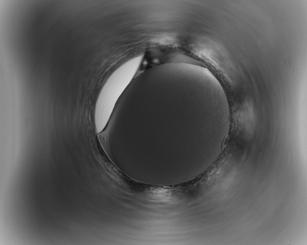 X0000093740325200710161144