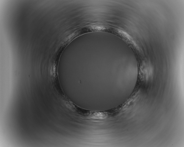 X0000093740330200710161144