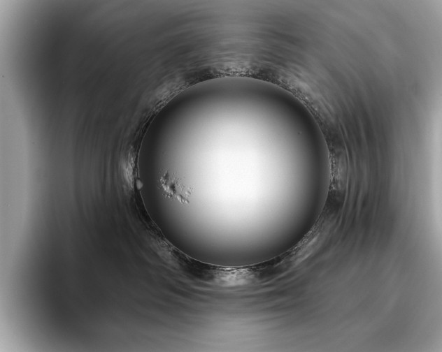 X0000093740334200710161144