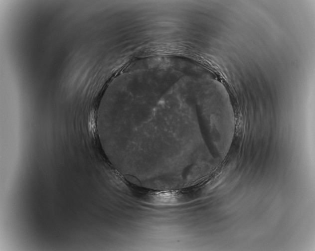 X0000093740335200710161144