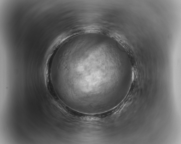 X0000093740339200710161143