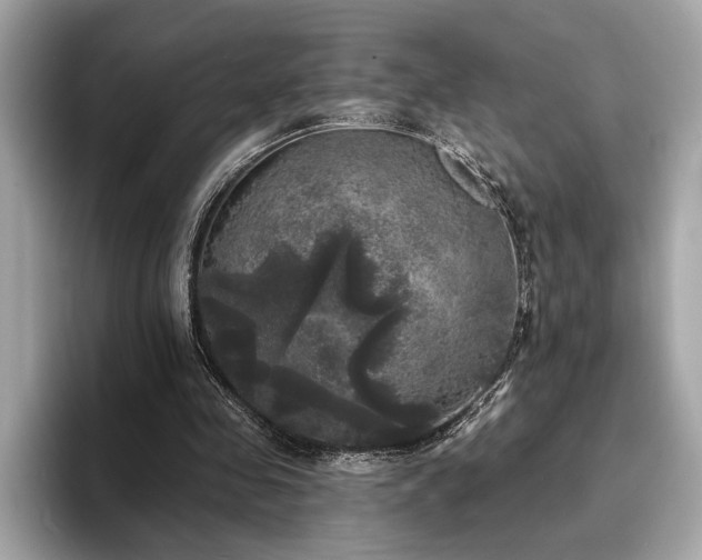 X0000093740341200710161143