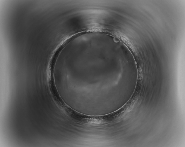 X0000093740347200710161143