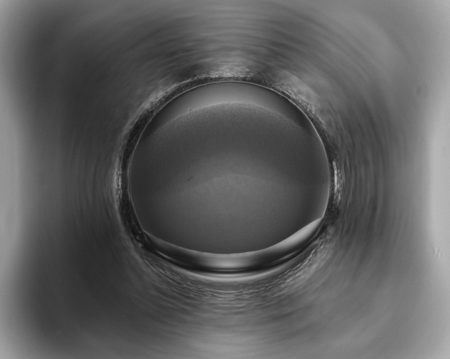 X0000093740348200710161143