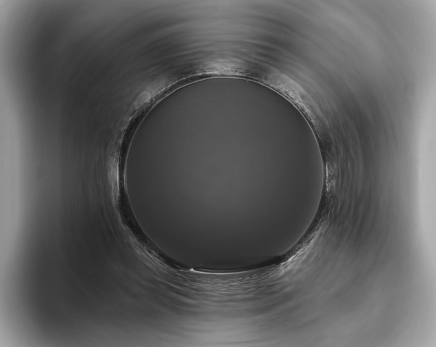 X0000093740349200710161143