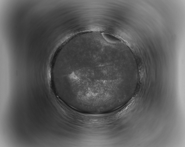 X0000093740350200710161143
