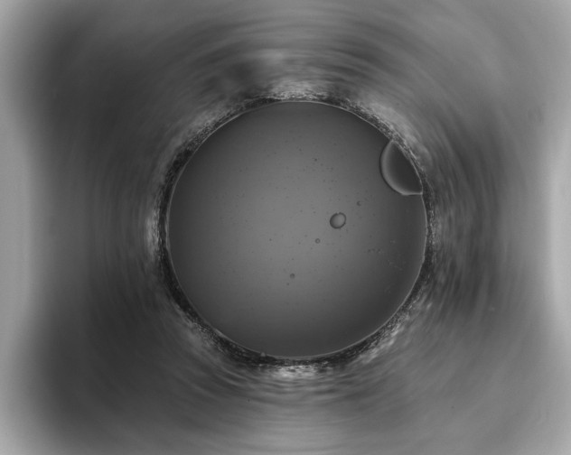 X0000093740353200710161143